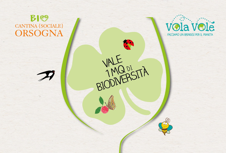 Vale un Metro Quadro di Biodiversità: un Progetto per il Futuro