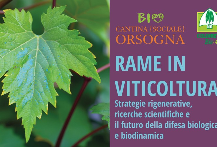 Rame in Viticoltura