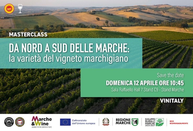 Masterclass - From the north to the south of Marche Region: the variety of the Marche vineyard