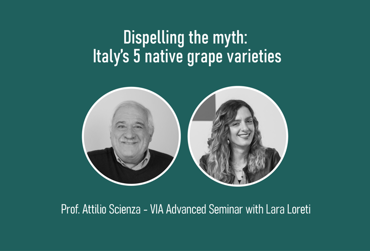Sfatare il mito: i 5 vitigni autoctoni d’Italia. VIA Advanced Seminar con il Prof. Attilio Scienza e Lara Loreti