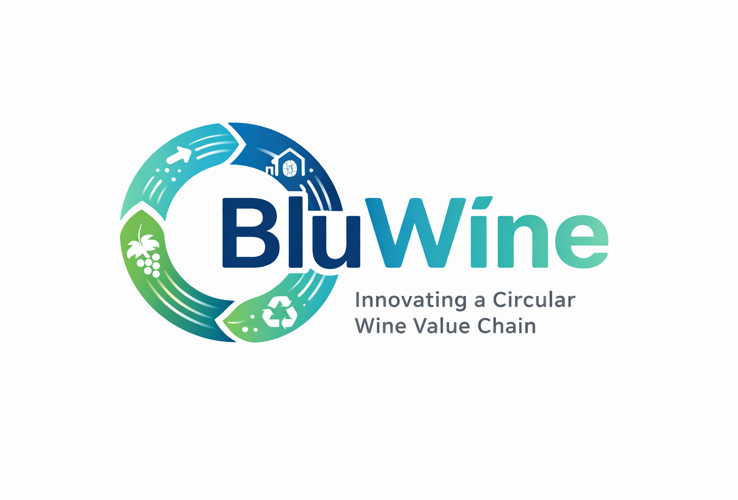 Towards a Sustainable Wine Industry: Application of the Blue Economy Concept. The BluWine Project.