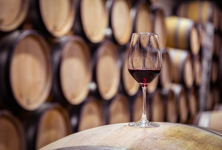 Tasting of fine Italian wines in collaboration with Rastal Italia