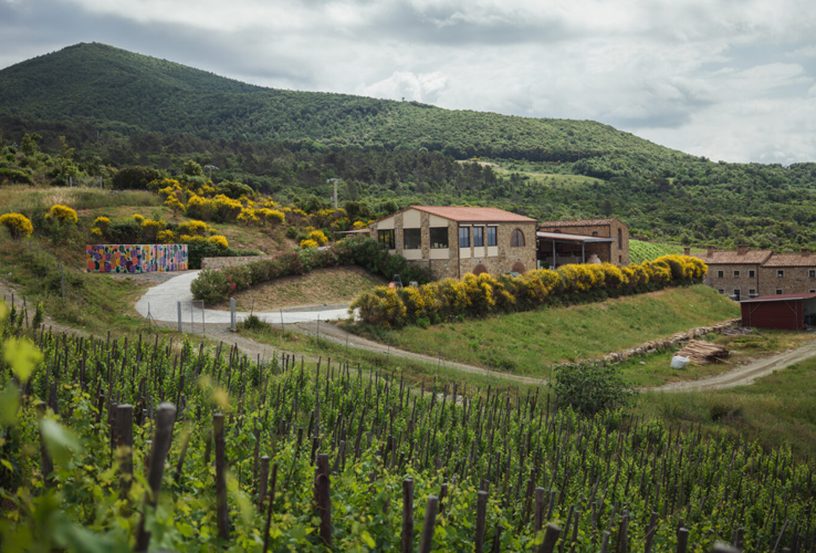 Duemani, l’interpretazione più originale della Costa Toscana