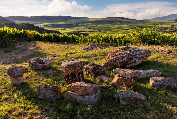INTL TASTING | Volcanic Wines from Hungary: From Splendid Balaton to Marvelous Tokaj