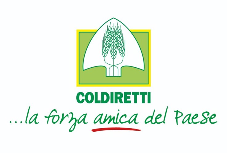  KIDDA: Agricultural Beer from the Sicilian Supply Chain