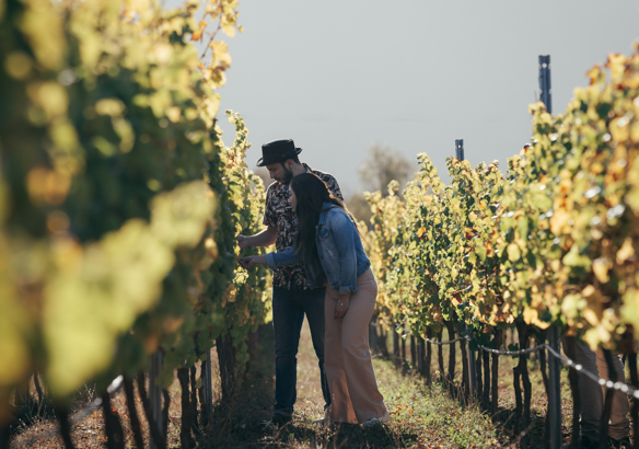 Vinitaly Tourism