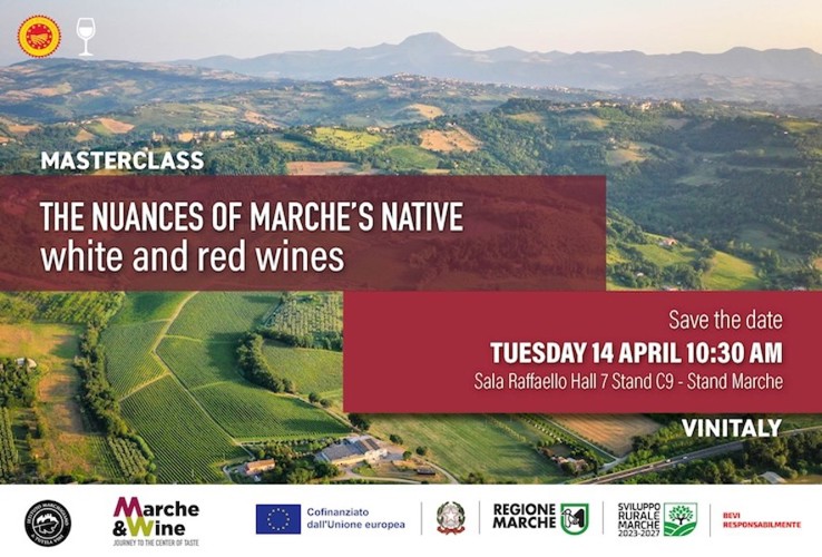 Masterclass - The nuances of Marche’s native white and red wines
