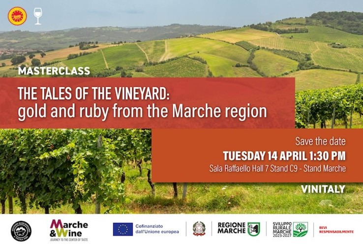 Masterclass - Tales of the vineyard: Gold and Ruby from the Marche region 