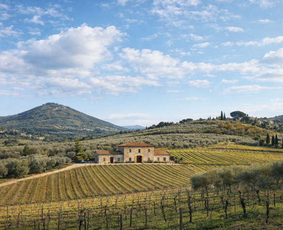 Esperienze dopo Vinitaly and the City