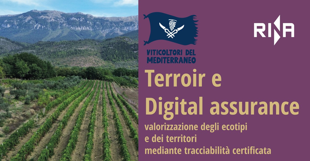 Terroir e Digital Assurance