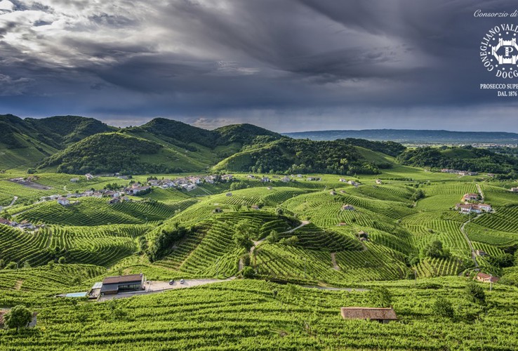 Sui Lieviti: L’Anima Autentica del Conegliano Valdobbiadene Prosecco Superiore DOCG
