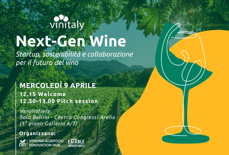 Next-Gen Wine: Startup, Sustainability, and Collaboration for the Future of Wine