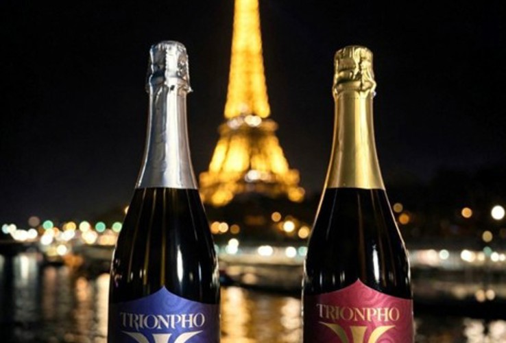 Trionpho of Bubbles: Terre di Maria Metodo Classico Tasting