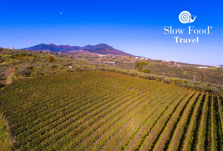 Vinitaly Tourism: Nuovi viaggiatori, nuovi territori: il turismo che cambia e la risposta di Slow Food Travel