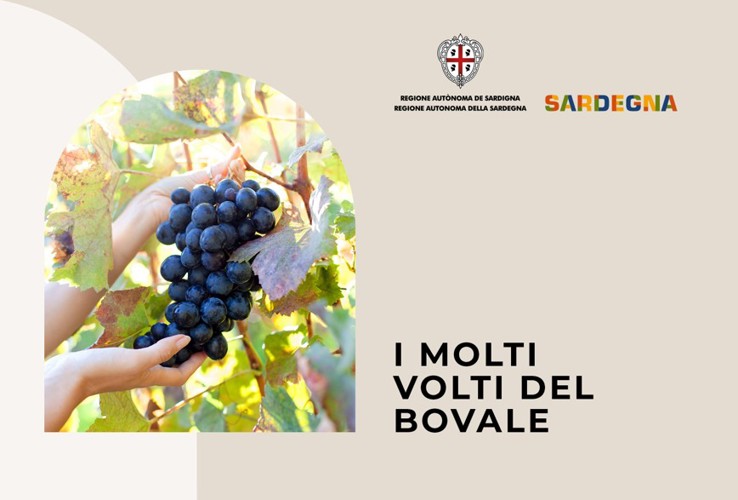 I MOLTI VOLTI DEL BOVALE