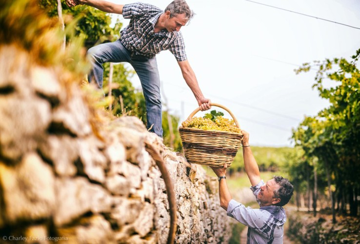 Soave, from freshness to longevity – hosted by Francesco Saverio Russo