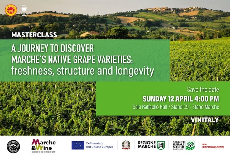 Masterclass  - Un viaggio alla scoperta dei vitigni autoctoni marchigiani tra freschezza, struttura e longevità
