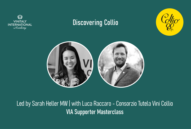 Alla scoperta del Collio