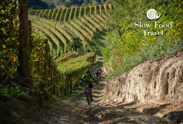 Dall’autenticità all’esperienza: progettare il turismo Slow nel mondo del wine & food