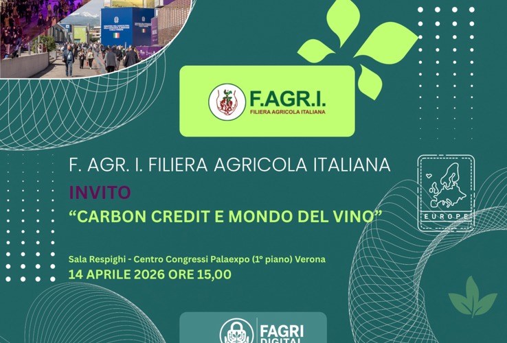 CARBON CREDIT E MONDO DEL VINO