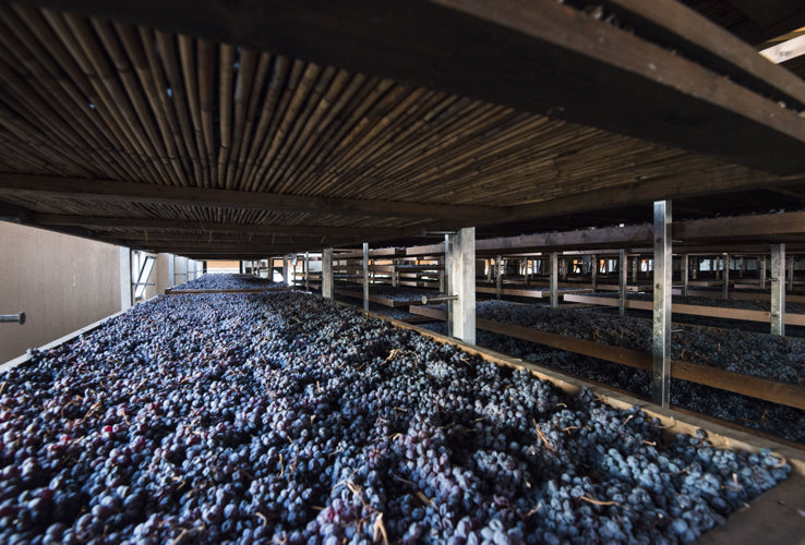 Amarone: il tempo, la sala, la scelta.