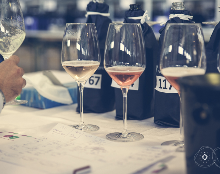 Fermenting a successful formula in the new 2021 Edition of 5StarWines – the Book