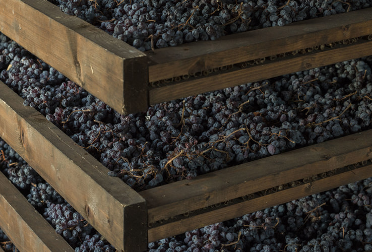 Amarone fine and contemporary wine: exploring elegance in 2009 and 2019 vintages