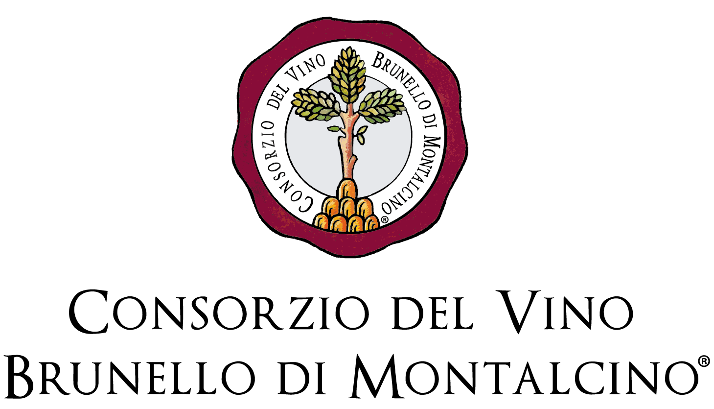 https://www.consorziobrunellodimontalcino.it/