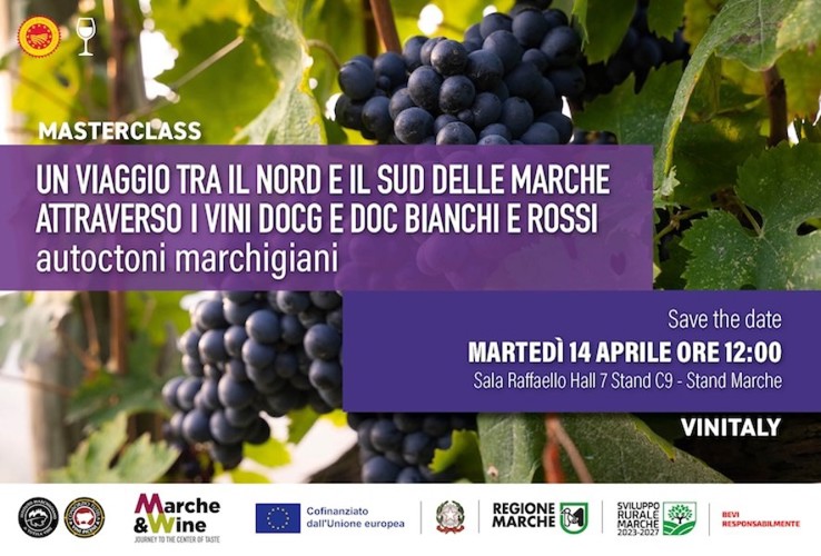 Masterclass - From North to South: A Journey through Marche’s DOCG and DOC White and Red Wines