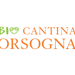 Organizer - BIO CANTINA ORSOGNA