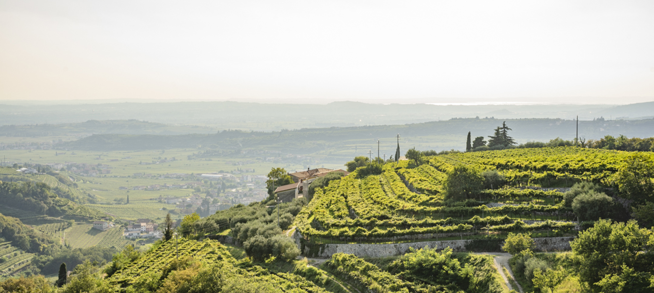 ESPERIENZE DOPO VINITALY AND THE CITY