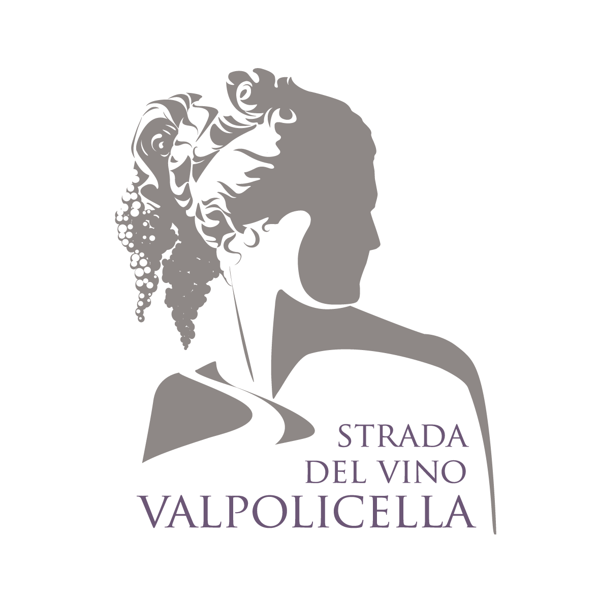 https://www.stradadelvinovalpolicella.it/