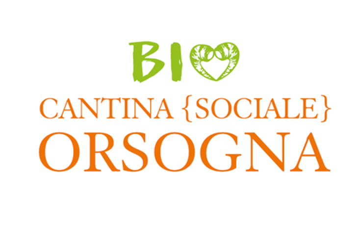 Rame in Viticoltura: Ricerca e Futuro