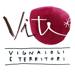 Partner - Vi.Te Vignaioli e Territori