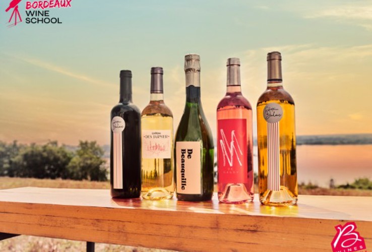Unlocking Bordeaux’s wine potential