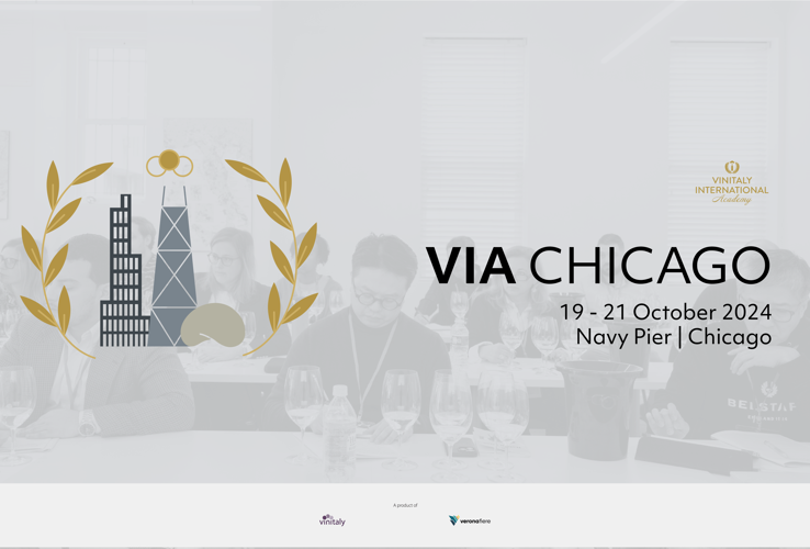 VIA Chicago 2024