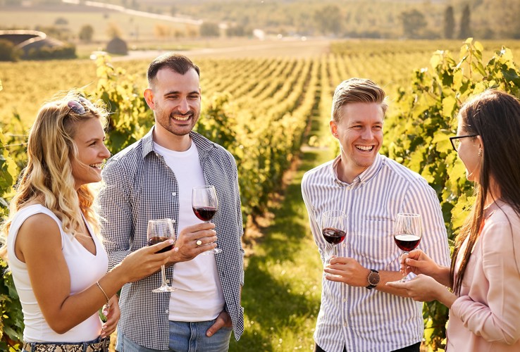 Il ruolo dell'enoturismo per lo sviluppo delle imprese vinicole italiane: valori, scenari evolutivi e prospettive future