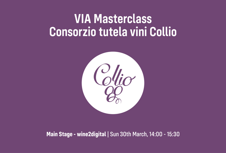 Alla scoperta del Collio