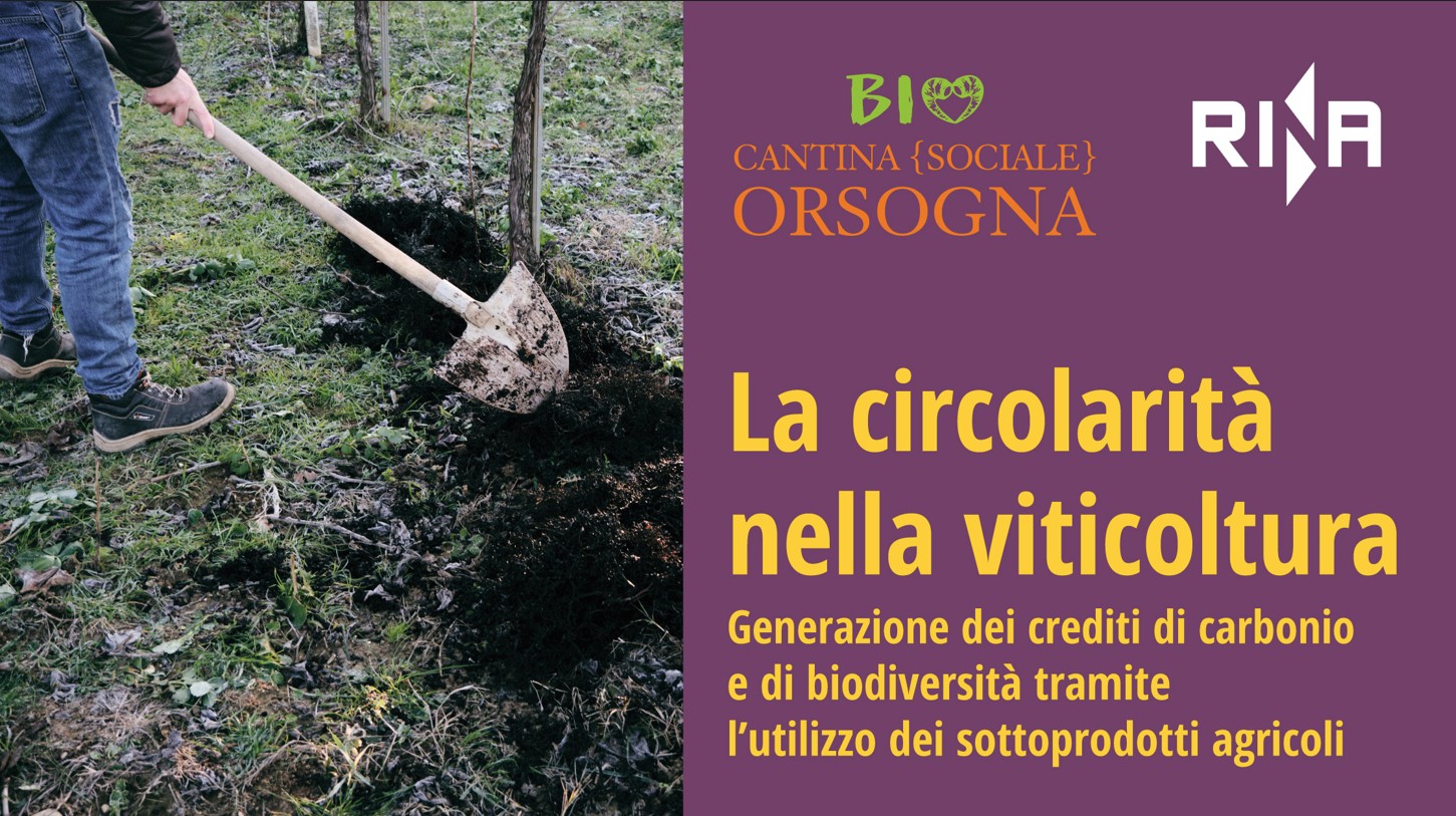 La Circolarità nella viticoltura