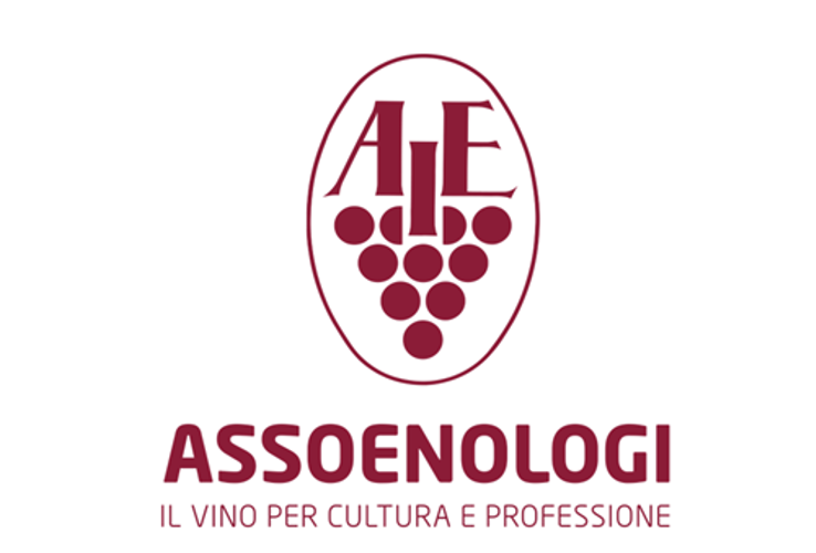 General Assembly of the Members of Assoenologi 2026