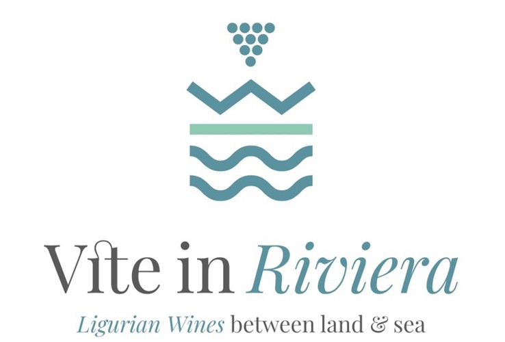 Vite in Riviera, Orizzonti Bianchi: Pigato, Vermentino e le sfumature saline del Ponente Ligure