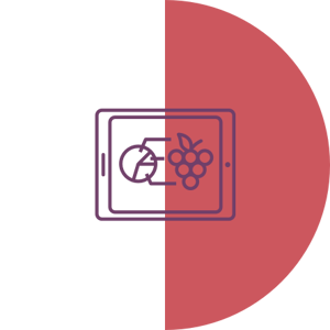 Software per la viticoltura e la cantina/frantoio