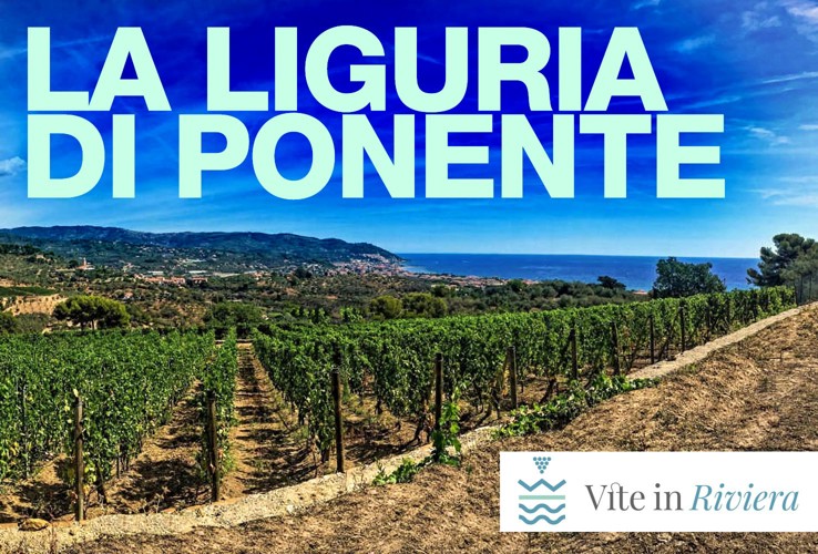 The Unexpected Longevity of Western Liguria:  An Exclusive Vertical Tasting with Vite in Riviera