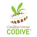 Organizer - CODIVE