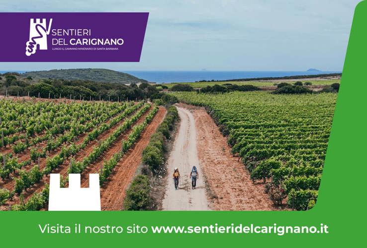 SENTIERI DEL CARIGNANO LUNGO IL CAMMINO MINERARIO DI SANTA BARBARA - SARDEGNA