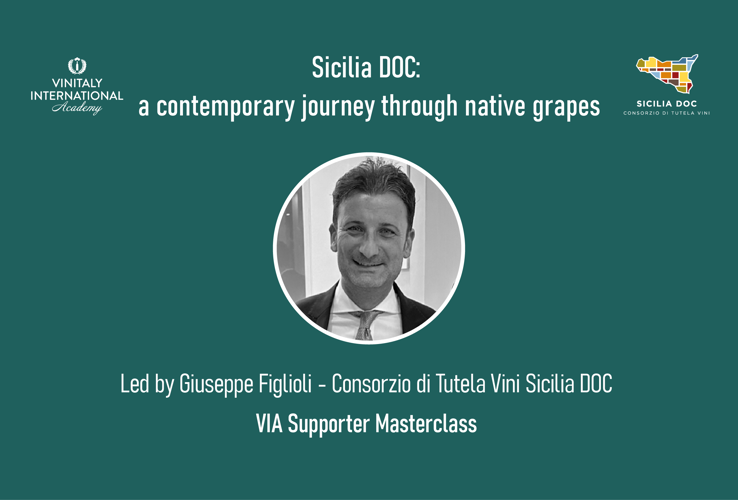 Sicilia DOC: a contemporary journey through native grapes