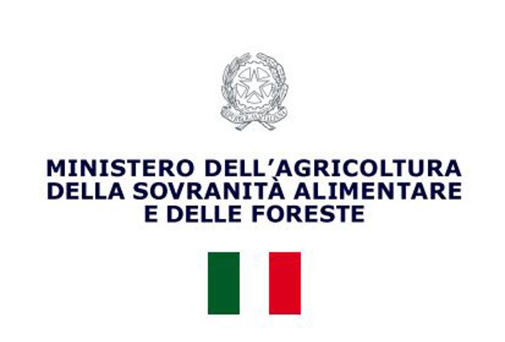 Italian cuisine takes center stage in tasting experiences