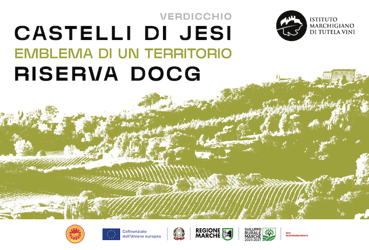 Castelli di Jesi Verdicchio Riserva DOCG: emblema di un territorio