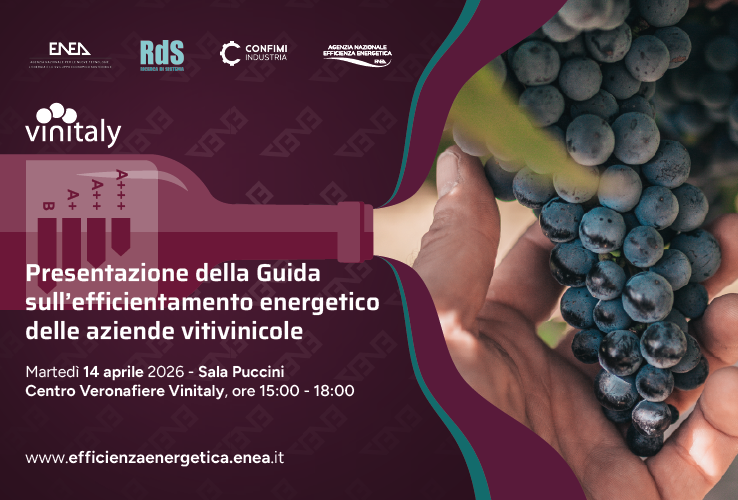 Presentazione della "Guida Nazionale per l'Efficientamento Energetico delle Aziende Vitivinicole"