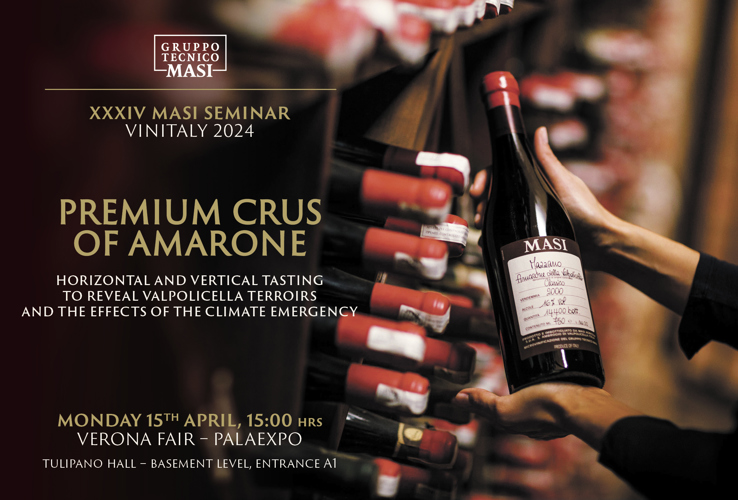 XXXIV SEMINARIO MASI